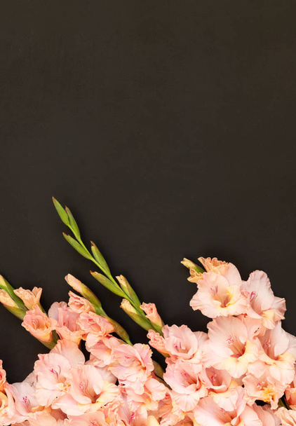 Růžové gladioly na černém pozadí. Gladiolus s kopírovacím prostorem. Pozdrav na Valentýna, Den matek. Plocha, výhled shora. Rámeček květin. - Fotografie, Obrázek