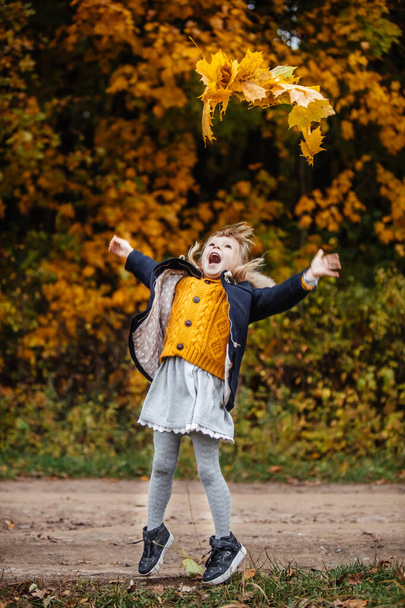 Портрет милых девочек в осеннем наряде с кленовыми листьями в руках - Фото, изображение