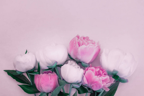 Bouquet of pink and white peonies close-up with copy space for design. - Photo, Image