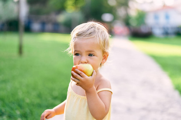 Niña roe una manzana mientras está de pie en un camino en un parque verde - Foto, imagen