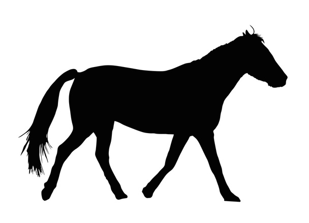 Portrait Silhouette of Large Horse Galloping - Вектор,изображение