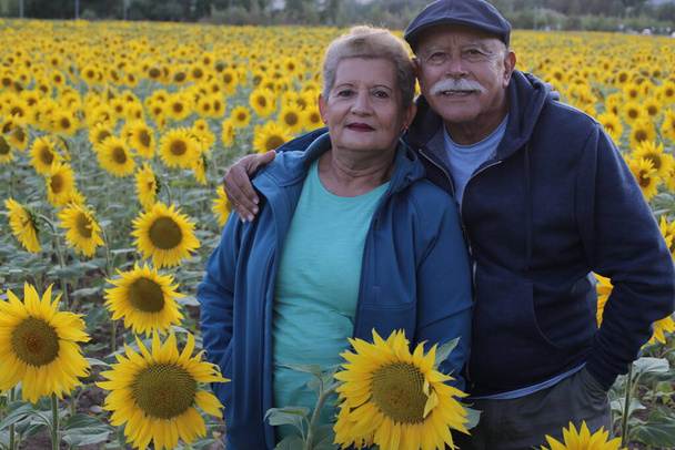 portrait de beau couple de personnes âgées debout à l'extérieur sur le champ de tournesols - Photo, image