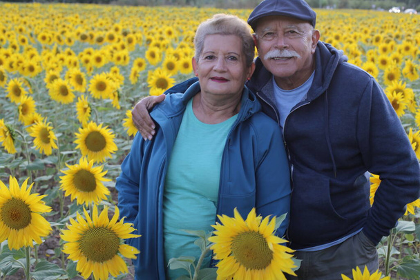 portrait de beau couple de personnes âgées debout à l'extérieur sur le champ de tournesols - Photo, image