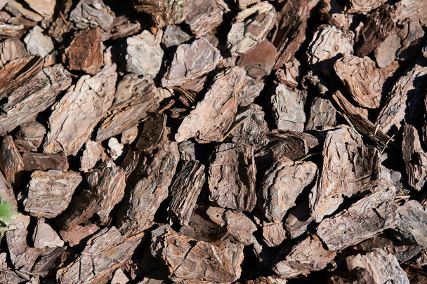 The texture of crushed tree bark on a close-up background. Crushed brown tree bark for decoration.Mulching of the soil. Decorative gardening - Fotoğraf, Görsel