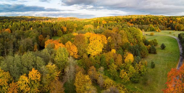 Aerial view of autumn forest with green and yellow trees. Mixed deciduous and coniferous forest. Beautiful fall scenery near Vilnius city, Lithuania - Fotó, kép