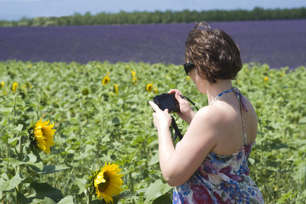 nő fotózás a napraforgó mező - Fotó, kép