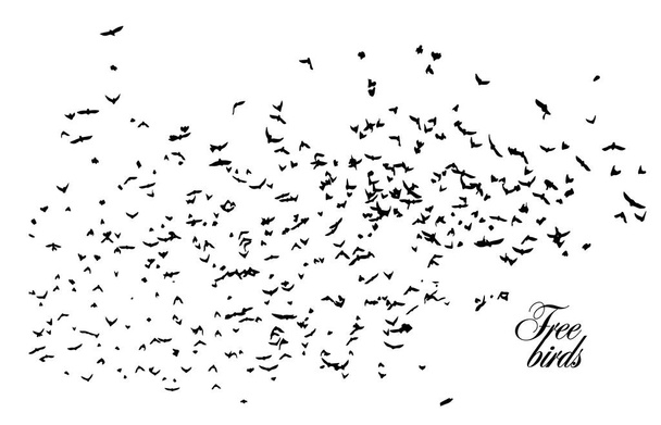 Una bandada de aves voladoras. Una gran bandada de cuervos voladores. Ilustración vectorial - Vector, imagen