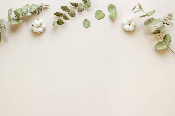Floral flat lay pattern with eucalyptus leaves and cotton - Photo, image