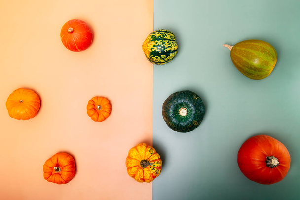Decorative colorful pumpkins on the neutral beige and muted green background. Autumn, fall, Halloween, Thanksgiving day concept. Minimalism. Flat lay, top view - Fotoğraf, Görsel