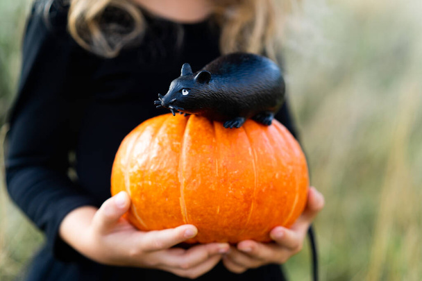 uma menina loira em um traje preto e um chapéu de bruxa, Halloween com uma abóbora e um rato em suas mãos, uma criança alegre.  - Foto, Imagem