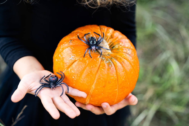calabaza naranja de otoño en las manos de los niños con arañas, decoración para las vacaciones de Halloween. - Foto, Imagen