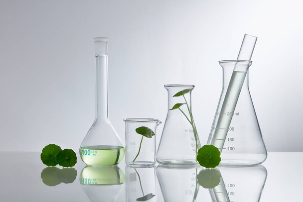 Scientific Experiment with Centella asiatica extract. Empty podium glass for cosmetic bottle containers. - Foto, immagini