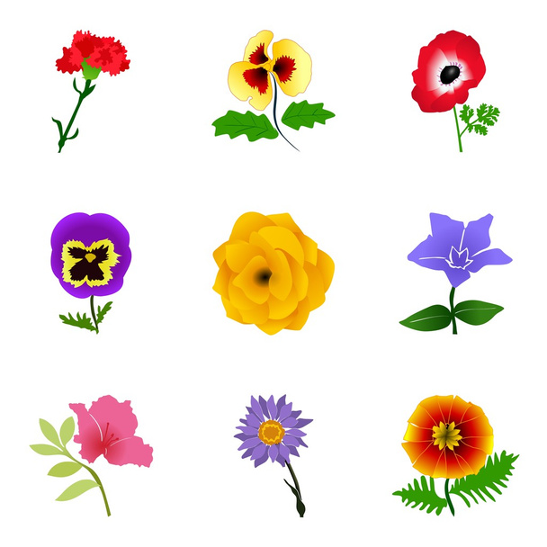 conjunto de flores - Vector, imagen