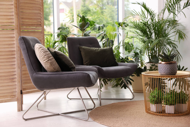 Lounge area interior with comfortable armchairs and houseplants - Fotoğraf, Görsel