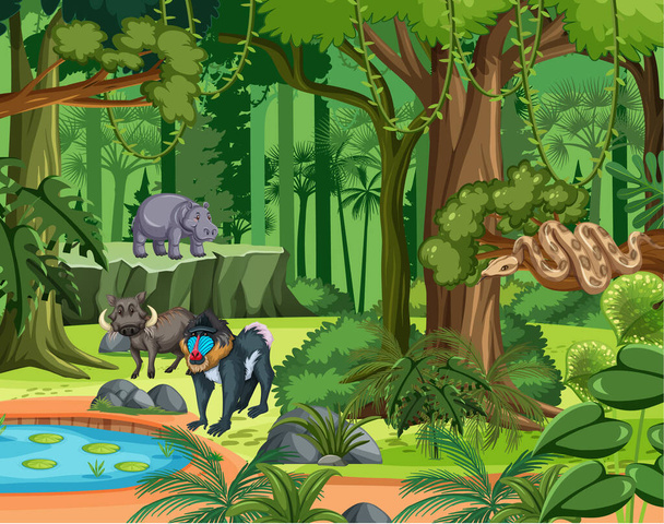 様々な野生動物のイラストと熱帯雨林のシーン - ベクター画像