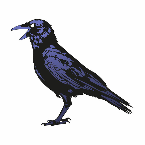 buio ala corvo vettore illustrazione - Vettoriali, immagini