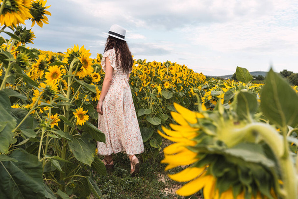 Femme en robe et chapeau marchant parmi un champ de tournesols - Photo, image