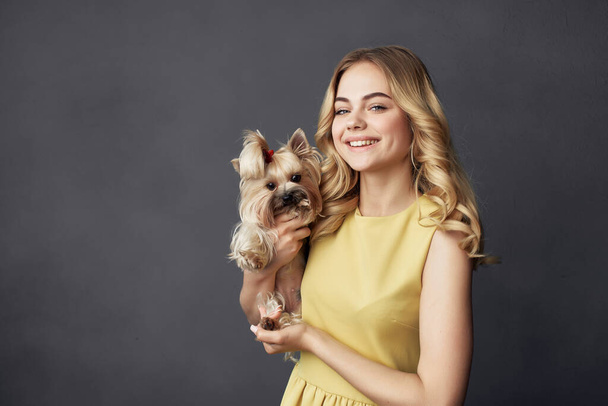 beautiful woman with a small dog . High quality photo - Photo, image