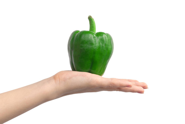 Vihreä paprika kädessä, eristetty valkoisella taustalla. Lähikuva näkymä vihreä bulgarialainen pippuri - Valokuva, kuva