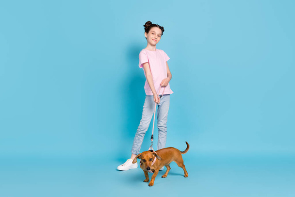 Full length φωτογραφία του χαρούμενου χαρούμενος κορίτσι κρατήστε το χέρι λουρί ιδιοκτήτη σκύλου καλή διάθεση απομονώνονται σε μπλε φόντο χρώμα - Φωτογραφία, εικόνα