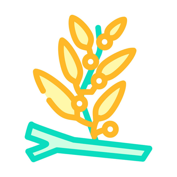 sargassum seaweed color icon vector illustration - Vector, Image