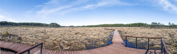 Stestroretskoyeバッグ生態歩道ルートの木製の床と展望デッキ。国立自然保護区Stestroretskoe Swamp.ベロストロフ。リゾートエリア。サンクトペテルブルク。ロシアだ。202年4月16日 - 写真・画像