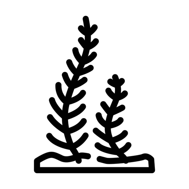 caulerpa taxifolia alghe linea icona vettoriale illustrazione - Vettoriali, immagini