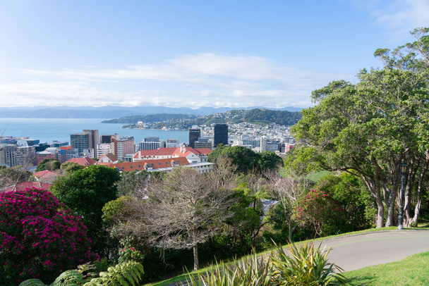 Blick vom Observatoriumshügel in botanischen Gärten über die Stadt Wellington, den Hafen und den entfernten Vorort Oriental Bay. und Hügel am Horizont. - Foto, Bild