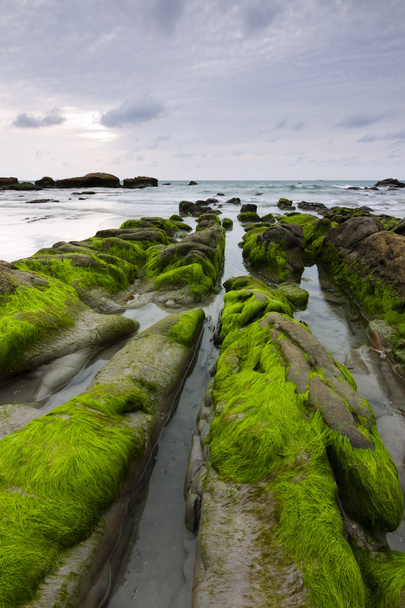 Mossy rocks at a beach in Kudat, Sabah, East Malaysia, Borneo - Foto, imagen