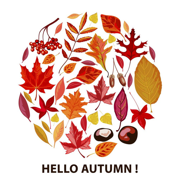 Hello autumn, poster with dry leaves and foliage - Vector, Image