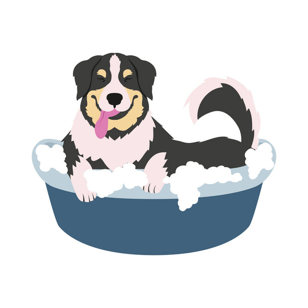 собака принимает ванну - Вектор,изображение