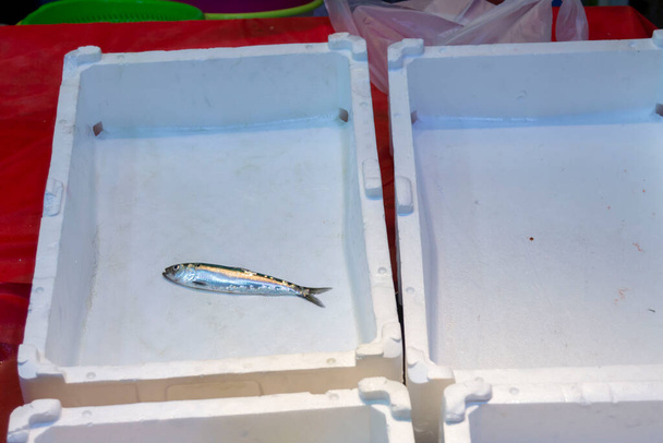 Verse vis wordt verkocht aan de toonbank - Foto, afbeelding