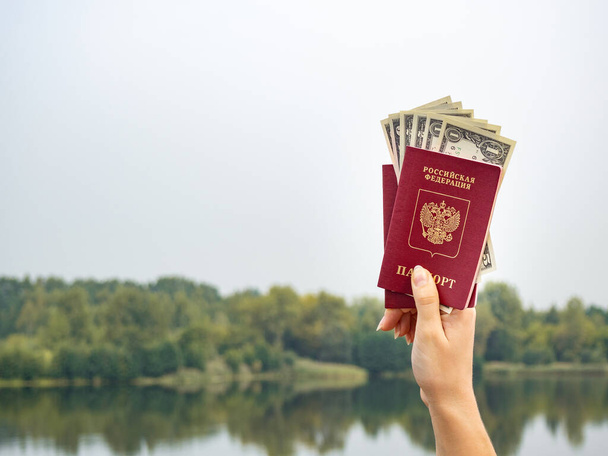 Un pasaporte extranjero y dólares en su mano, en el contexto de la naturaleza. Filmado al aire libre. - Foto, imagen