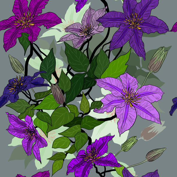 Seamless pattern with clematis flowers - Vettoriali, immagini