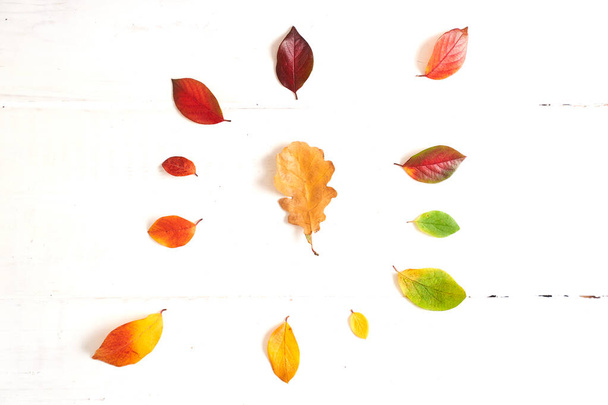 Autunno foglie colorate su uno sfondo di legno vista dall'alto - Foto, immagini