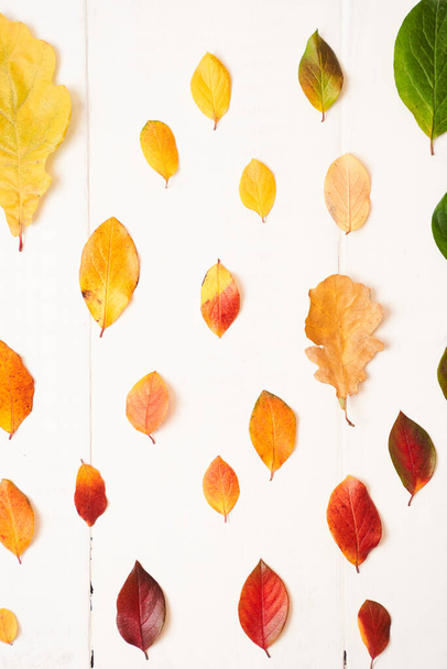 Composizione autunnale di foglie autunnali su uno sfondo di legno chiaro. Autunno, concetto autunnale. Layout piatto, vista dall'alto - Foto, immagini