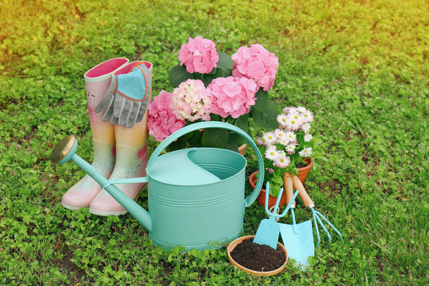 Beautiful blooming plants, gardening tools and accessories on green grass outdoors - Foto, Imagen
