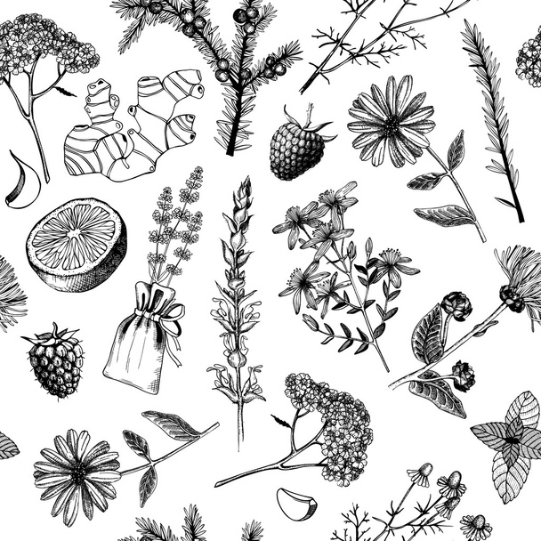 Herbs and plants - Vetor, Imagem