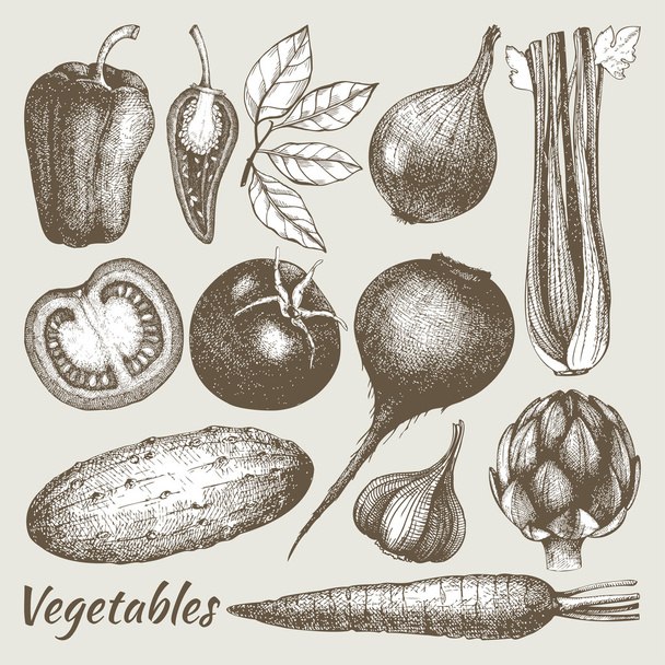 Hand drawn vintage vegetables - Vector, Imagen