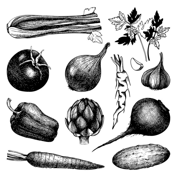Hand drawn vegetables - Vektor, obrázek