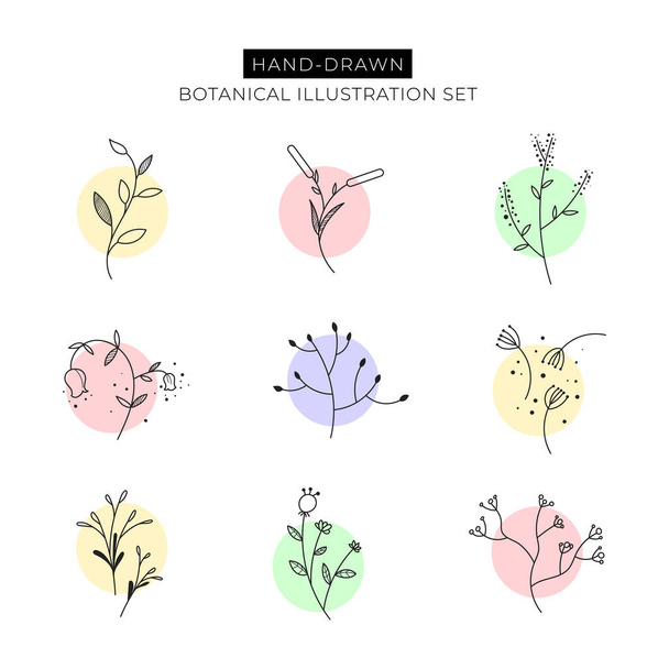 Hand drawn botanical elements with pastel color shades - Vector, Image