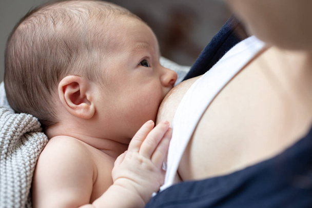 Mom breastfeeds her newborn son, breastfeeding, lactation in women, happy motherhood. - Foto, Imagem