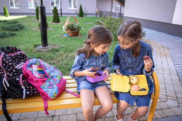 Back to school. Cute little school girls sitting on bench in school yard and eating lunch outdoor. - Photo, Image