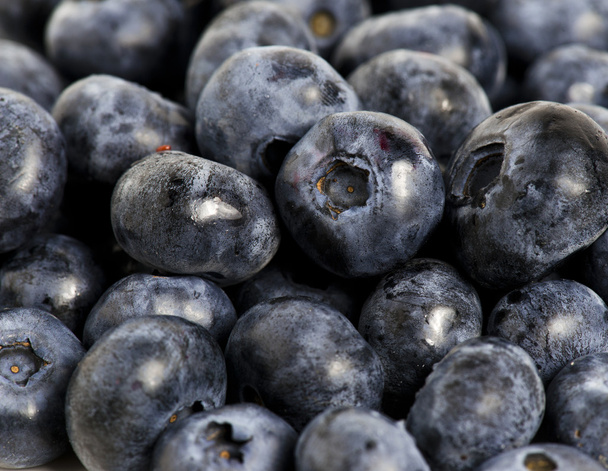 blueberry édes részlete - Fotó, kép