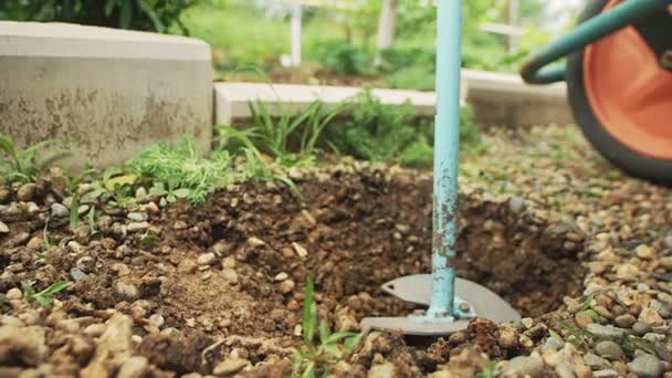 Gardener digs plant hole with hand drill - Footage, Video