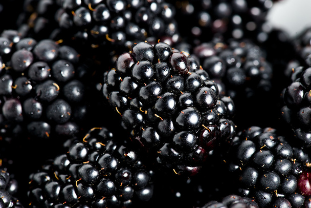 Sweet details of blackberry - Photo, Image