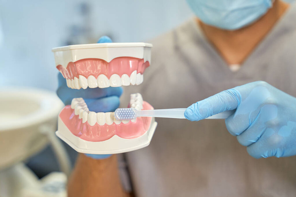 Lekarz dentysta wyjaśniający zasady mycia zębów na modelu zębów - Zdjęcie, obraz