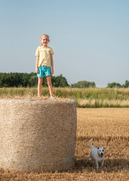 Κοριτσάκι και σκύλος διασκεδάζουν σε ένα χωράφι με σιτάρι μια καλοκαιρινή μέρα. Παιδί που παίζει στο χωράφι με τις μπάλες σανού κατά τη διάρκεια της συγκομιδής. - Φωτογραφία, εικόνα