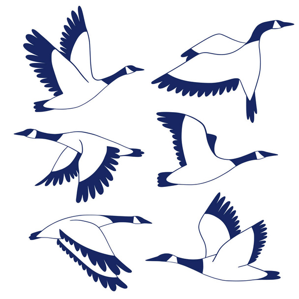 Collection with blue outline cranes. Traditional Japanese birds set. Hand drawn modern vector. Wildlife design elements. Simple monochrome abstract line art - Vektor, obrázek