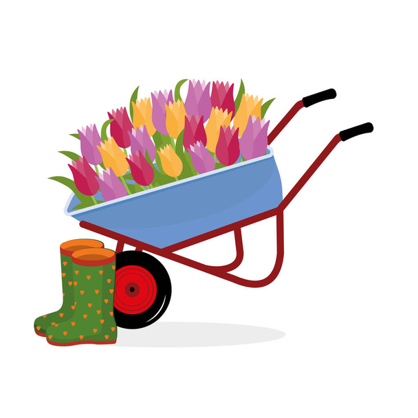 carretilla con flores de tulipán y botas de goma, ilustración vectorial aislada en color. - Vector, imagen